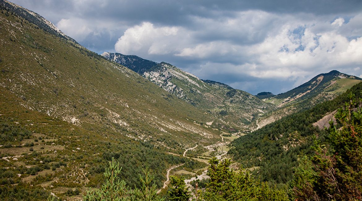 BRUT NATURE